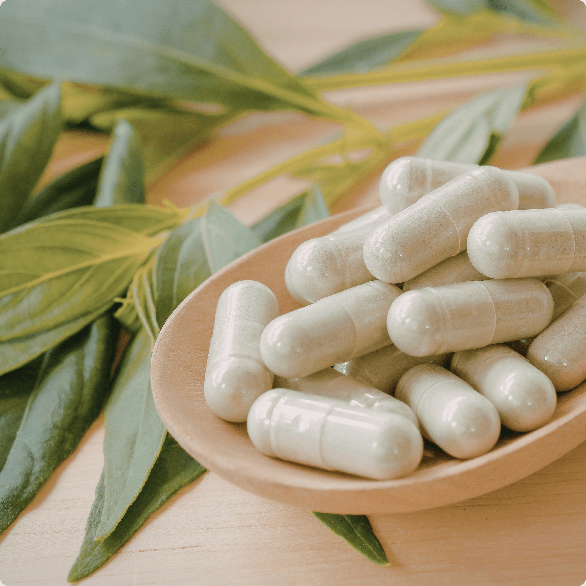 Capsule supplement manufacturing for dietary supplement and nutraceutical brands